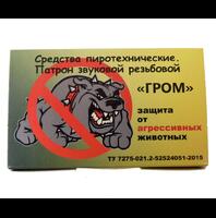 Патрон звуковой резьбовой &laquo;Гром&raquo; (15 штук)